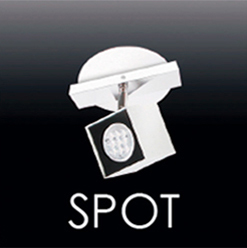 spot